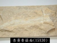 香菇面石片 Deco 04 (Yellow NA) 15 x 30 x 2.5~3cm