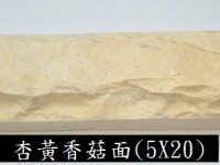 香菇面石片 Deco 04 (Yellow NA) 5 x 20 x 1.5~2cm