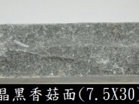 香菇面石片 Deco 04 (Black NA) 7.5 x 30 x 1.5~2cm